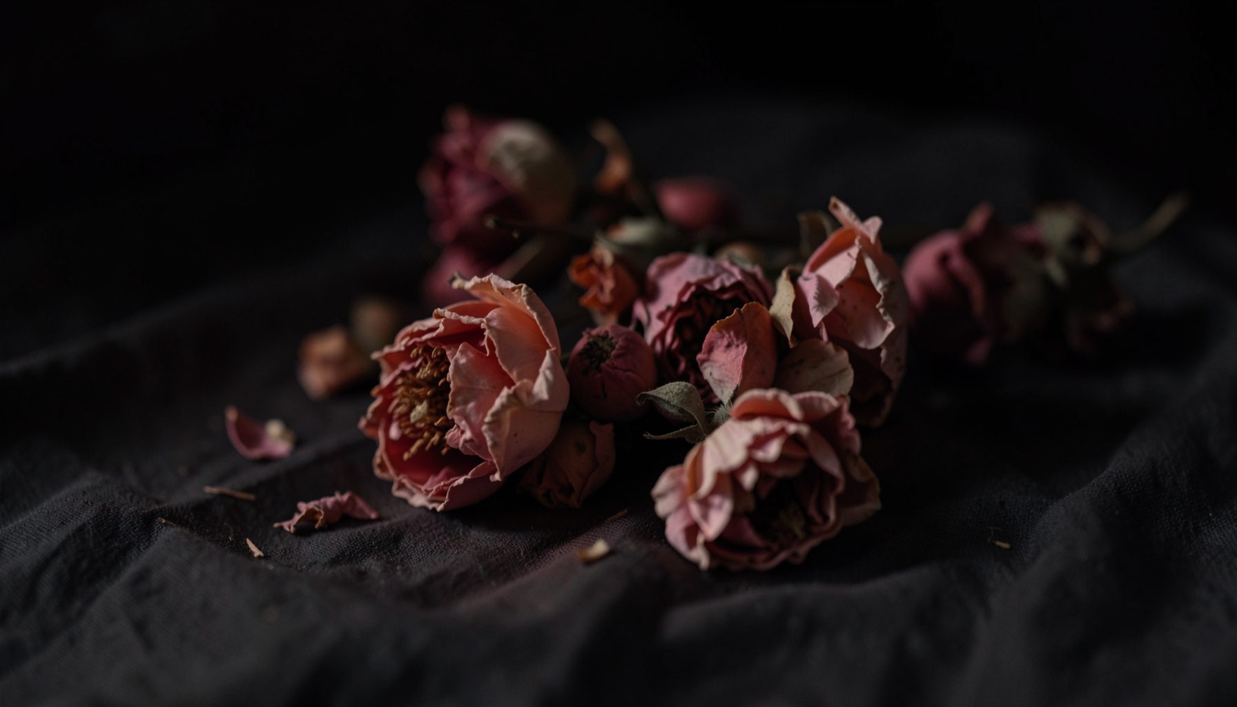 A softly lit still life of dried blush and rose colored flowers resting on a dark muted cloth, moody and quiet