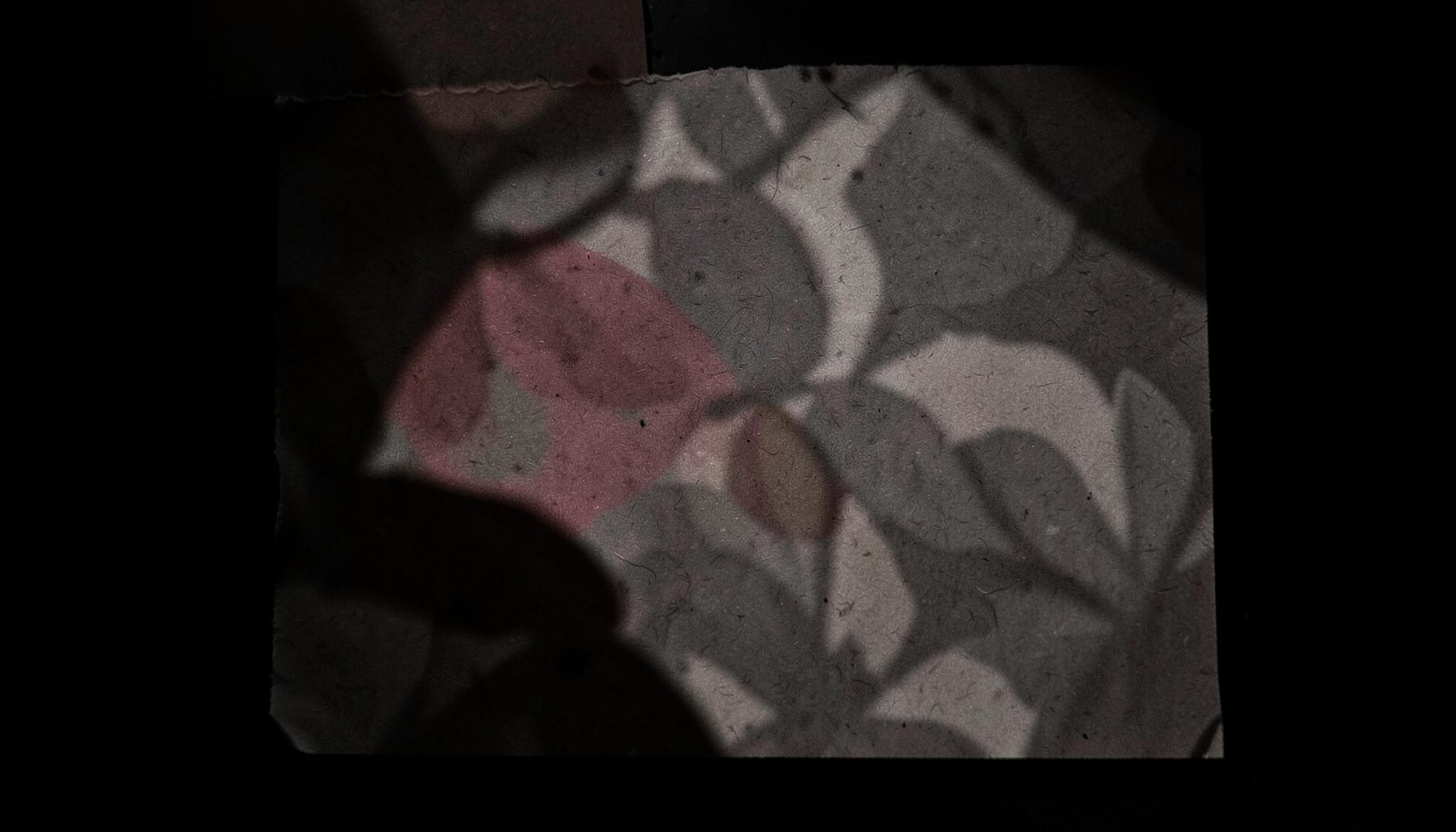 A muted grey-brown textured paper swatch with a soft floral shadow pattern