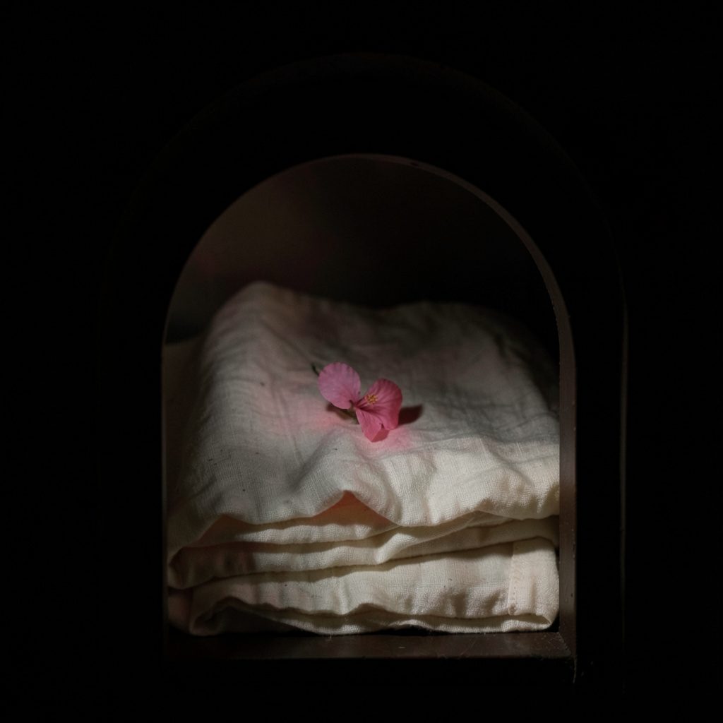 A dim arched frame photograph of folded cream linen with a single pink bloom